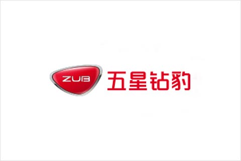 天能电池协作火伴 五星钻豹电动车